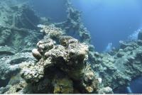 Photo Reference of Shipwreck Sudan Undersea 0058